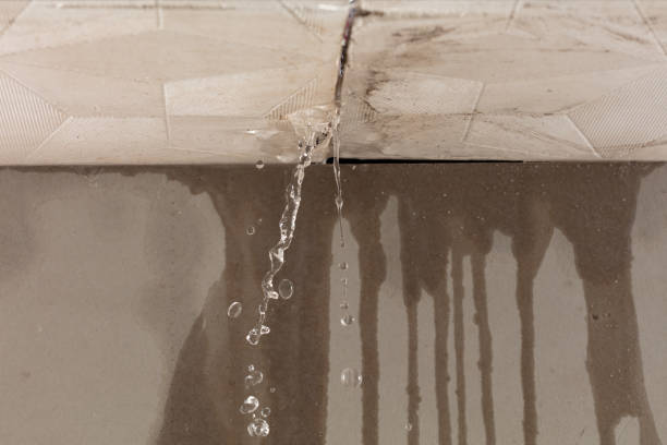 Professional Structural Drying technician working in Greenville, FL